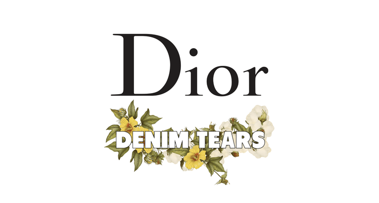 Dior x denim tears header