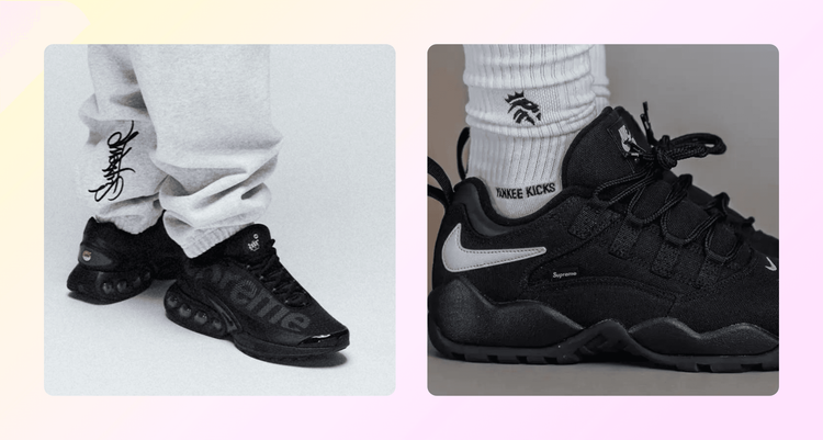 Supreme Nike Air Max DN : SB Darwin Low SS24