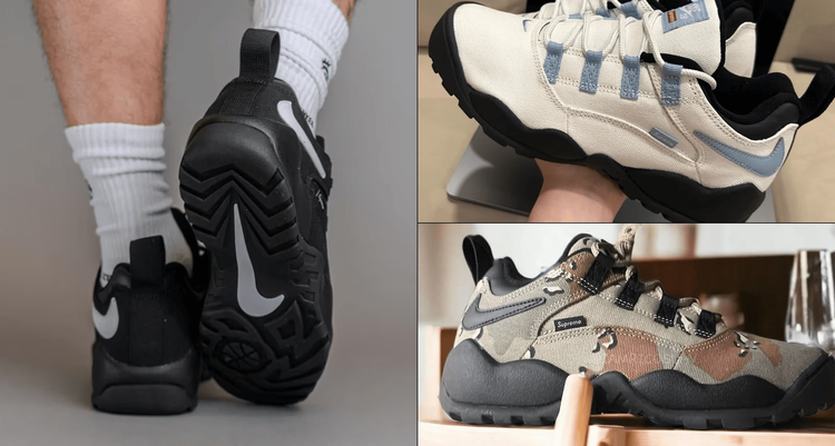 Supreme x Nike SB Air Darwin collaboration