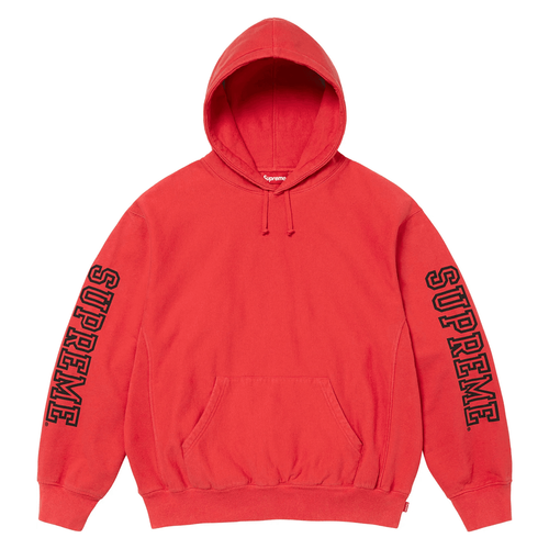 Collegiate Sleeve Hooded Sweatshirt