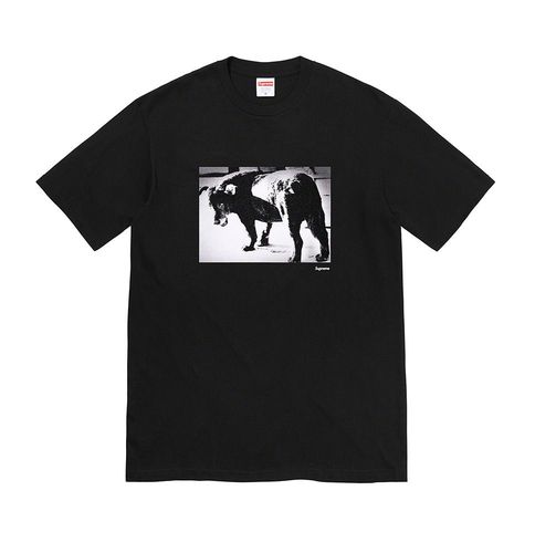 Daido Moriyama Dog Tee