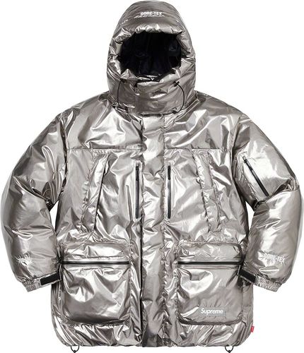GORE-TEX 700 Fill Down Parka
