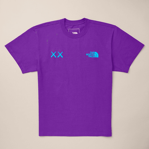 Kaws x The North Face Tee streetwear style collab t shirt
