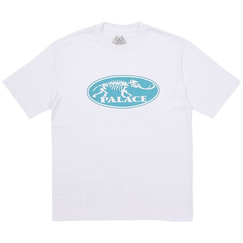 Palace BONE DRY T-SHIRT streetwear style fashion