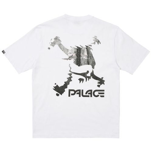 Palace x Oakley Tee streetwear collab t shirt