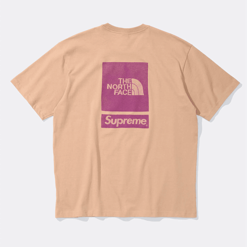 Supreme The North Face S/S Top