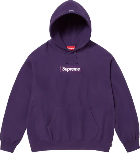 Supreme BOX LOGO HOODED SWEATSHIRT FW23 Purple