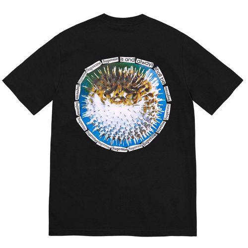 Supreme Blowfish Tee