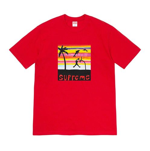 Supreme Dunk Tee by Joe Roberts release info