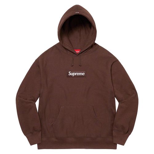Supreme FW21 Box Logo Hooded sweatshirt brown