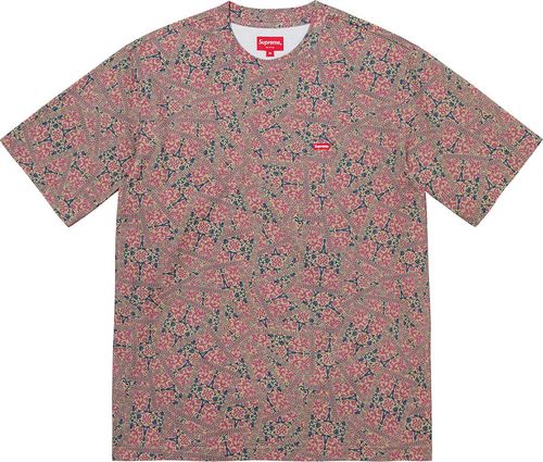 Supreme FW21 Small Box Tee