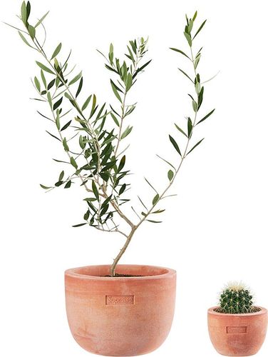 Supreme®:Poggi Ugo Small and Large Planters