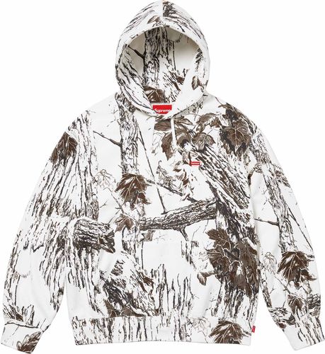 Supreme SMALL BOX HOODED SWEATSHIRT SS24