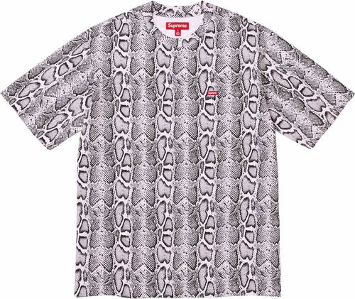 Supreme SMALL BOX TEE SS24