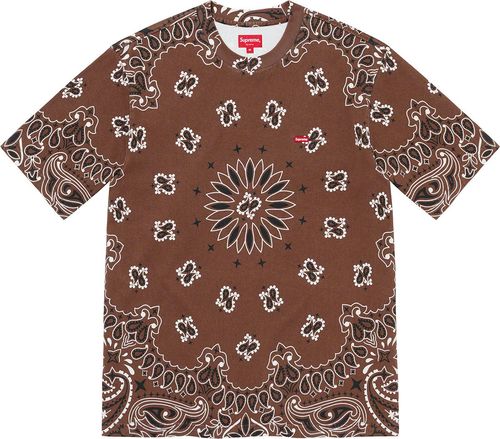 Supreme SS21 Small Box Tee
