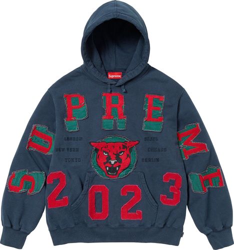 Supreme WASHED PANTHER HOODED SWEATSHIRT