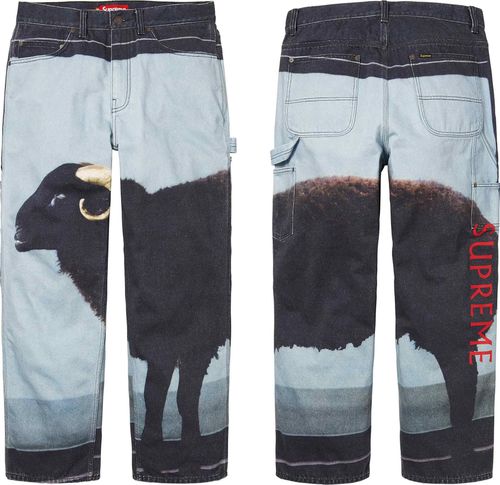 Supreme x Damien Hirst Painter Jean