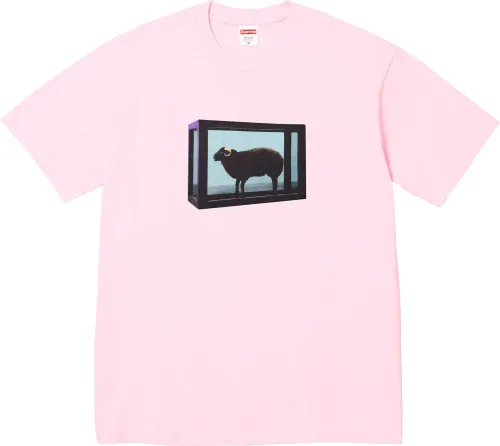Supreme x Damien Hirst Tee