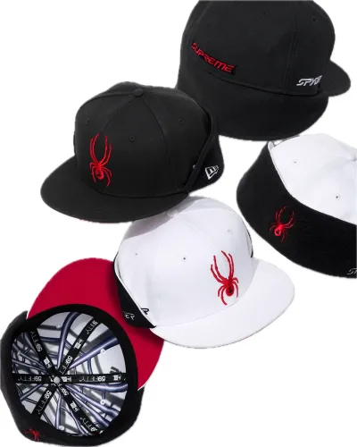 Supreme x Spyder Earflap New Era
