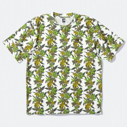 Supreme x THE NORTH FACE LEAF S:S TOP TEE