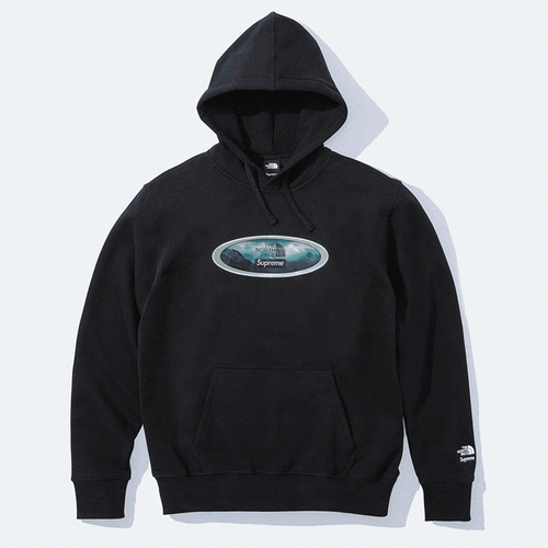 Supreme x The North Face Lenticular Mountains Hooded Sweatshirt