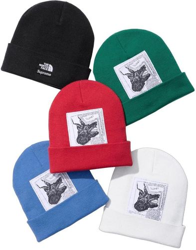 Supreme x The North Face x Raymond Pettibon Beanie