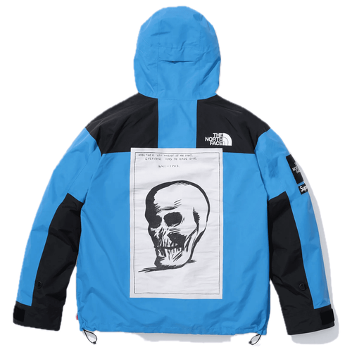 Supreme x The North Face x Raymond Pettibon Mountain Jacket