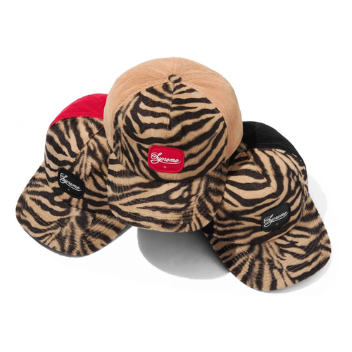Tiger 5-Panel