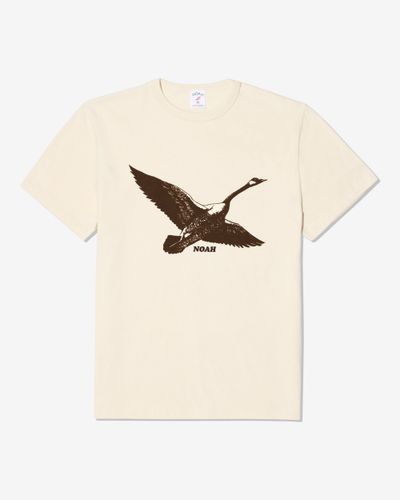 noah-goose-tee.jpg