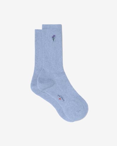 noah-iris-sock-1.jpg