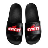 CACTI SLIDES