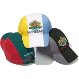 Crest 6-Panel