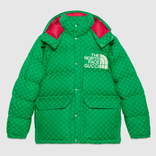 Gucci x The North Face Part 2 Print Padded Jacket