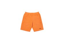 Palace Summer 22 London Shorts
