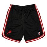 Palace x Spitfire Shorts