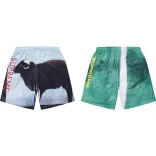 Supreme Damien Hirst Soccer Short