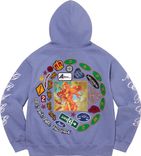 Supreme PATCHES SPIRAL HOODED SWEATSHIRT