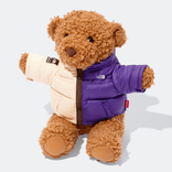 Supreme The North Face Bear