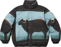 Supreme x Damien Hirst Down Puffer Jacket